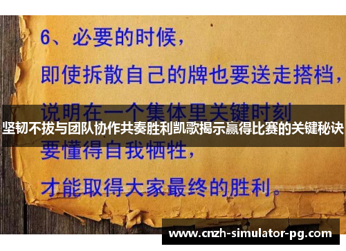 坚韧不拔与团队协作共奏胜利凯歌揭示赢得比赛的关键秘诀