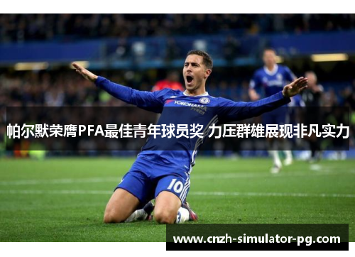 帕尔默荣膺PFA最佳青年球员奖 力压群雄展现非凡实力
